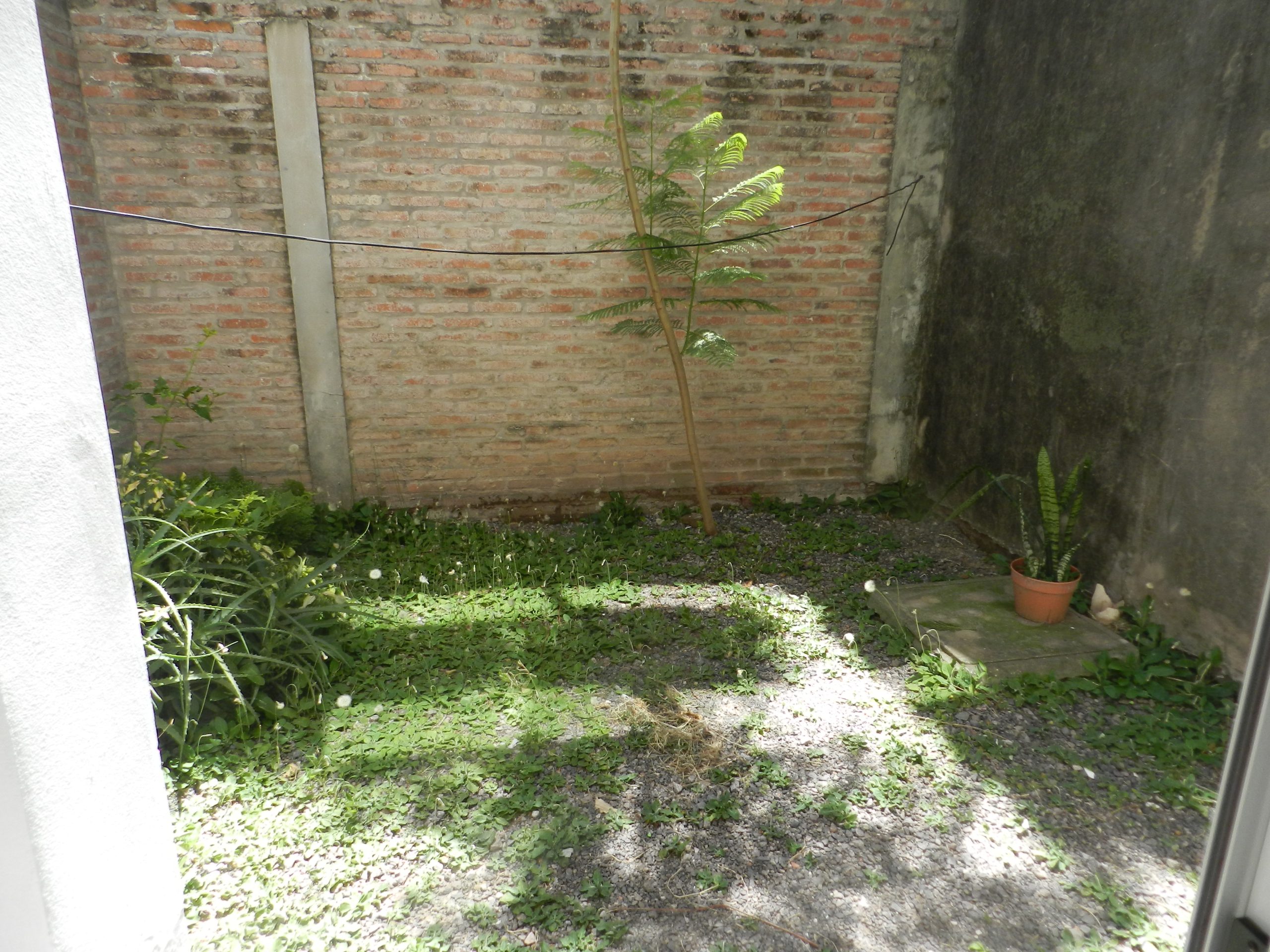 DSCN0207